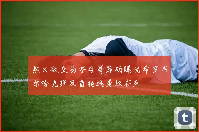 热火欲交易字母哥筹码曝光希罗韦尔哈克斯及首轮选秀权在列