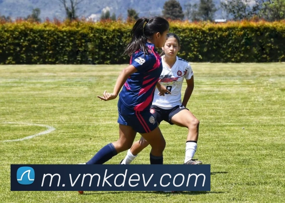 高清赛事解说